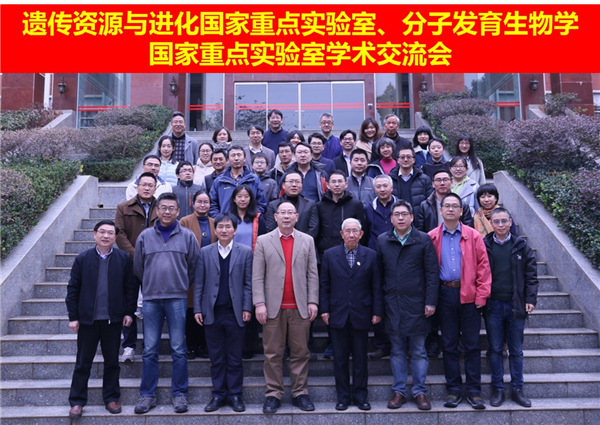 图片1_副本
