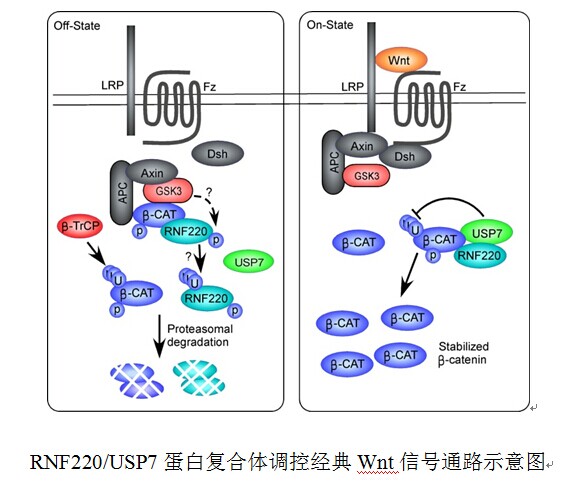 中国科学院昆明动物研究所