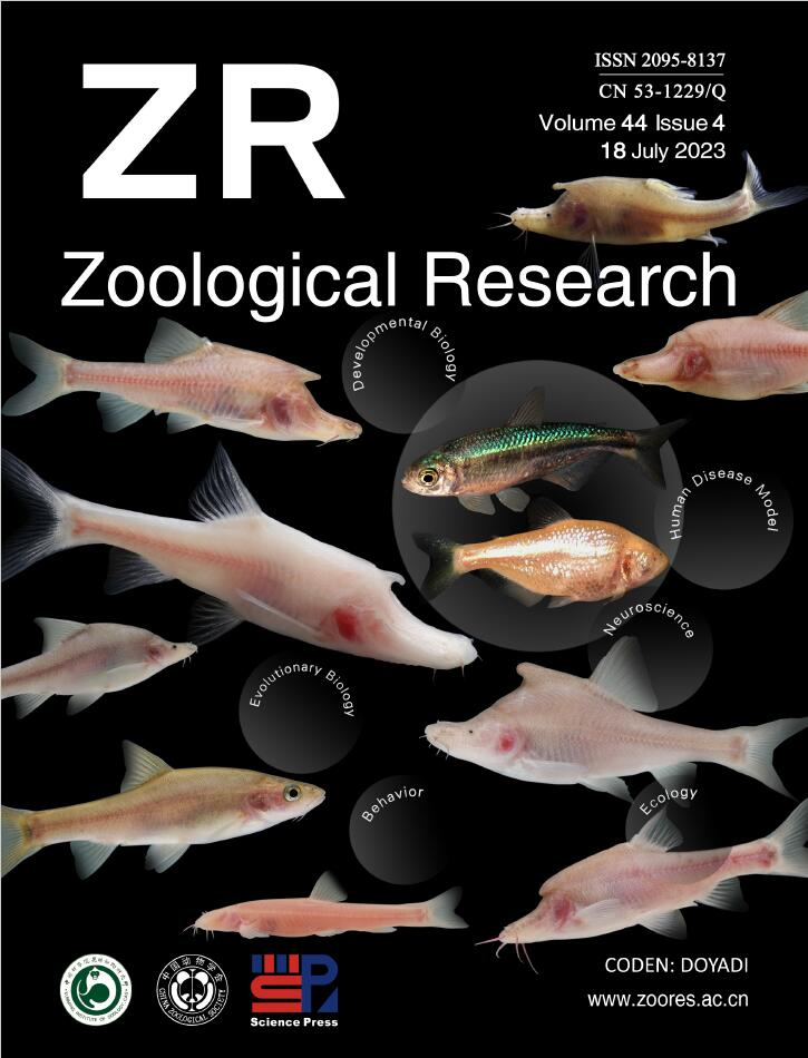 202303