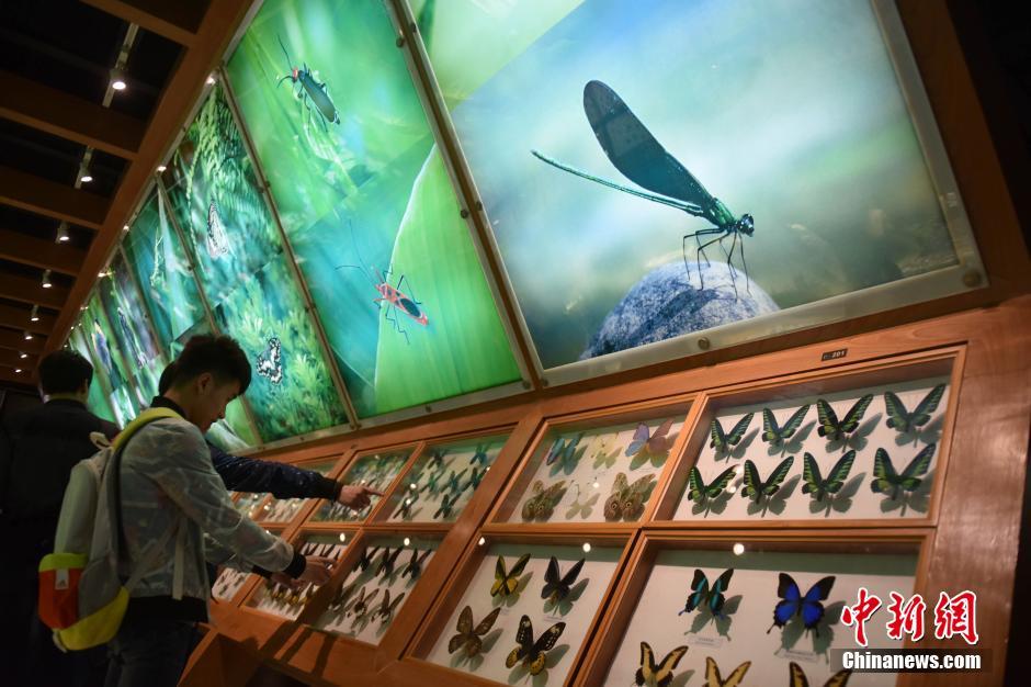 中新社——公众科学日 昆明市民探秘动物博物馆(组图稿)----中国科学